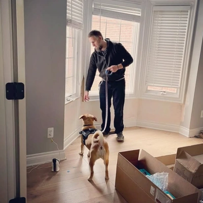 Mold Inspection Kalamazoo Mi