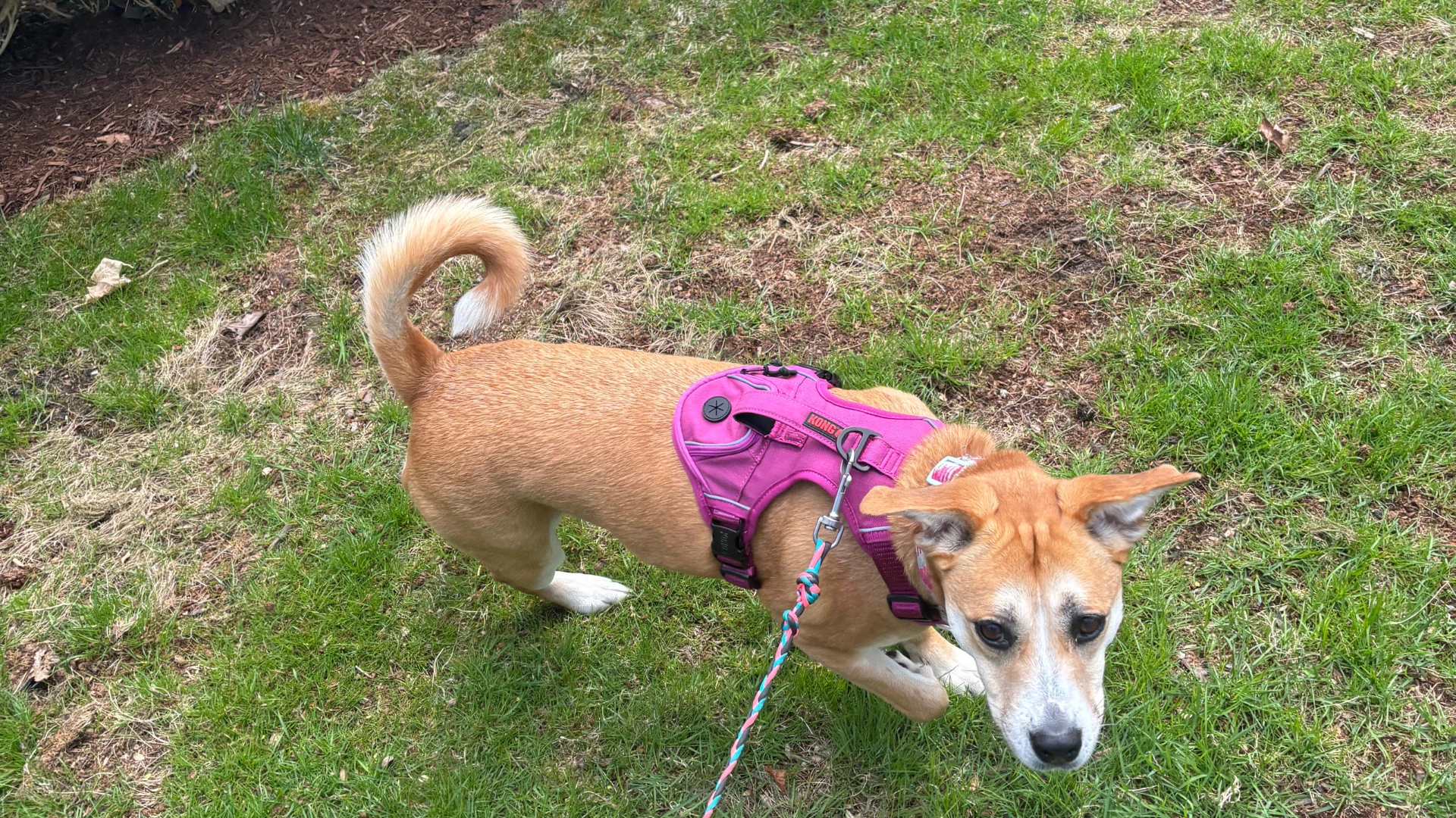 Mold Inspection Kalamazoo, Mi