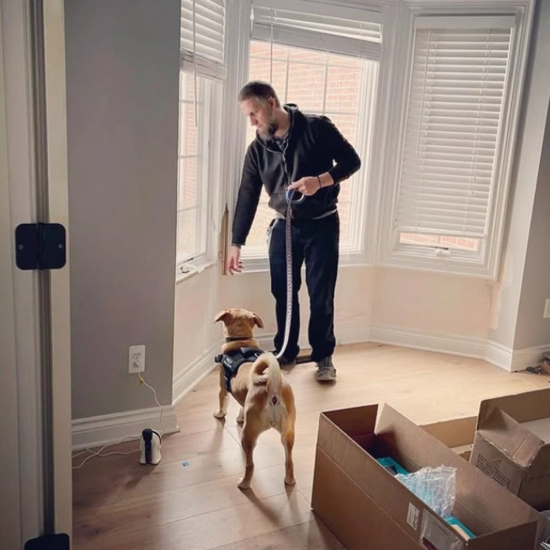 Mold Inspection Lansing