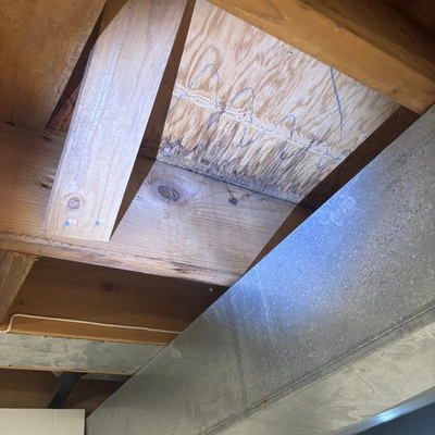 Mold Inspection Livonia