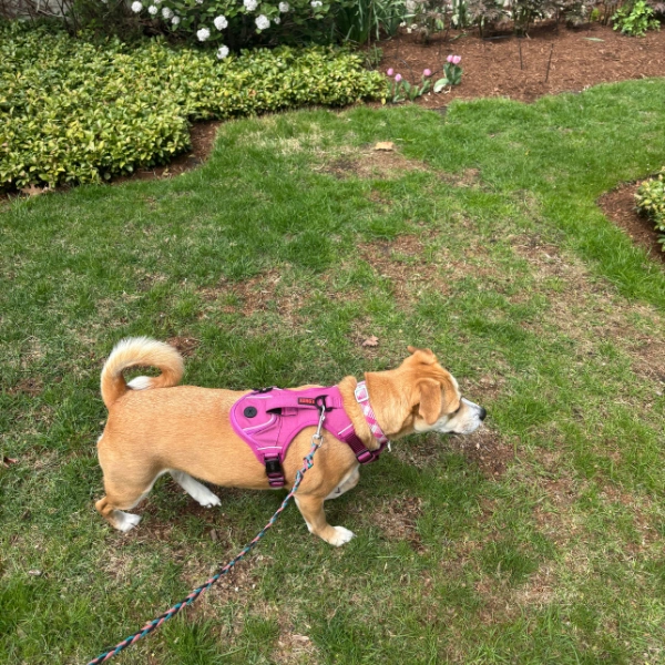 Mold Inspection Sterling Heights