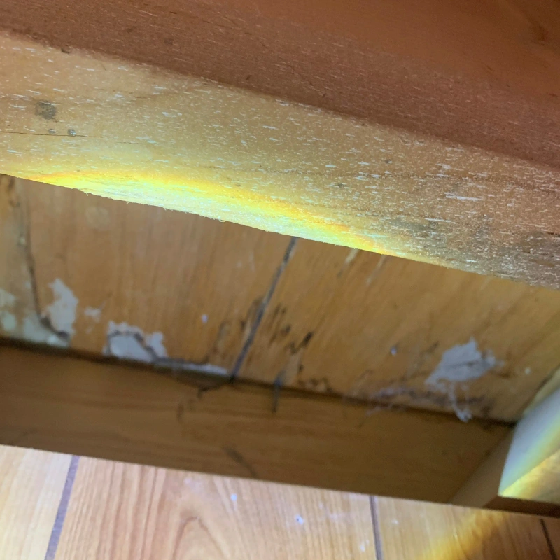 Mold Inspections Downers Grove