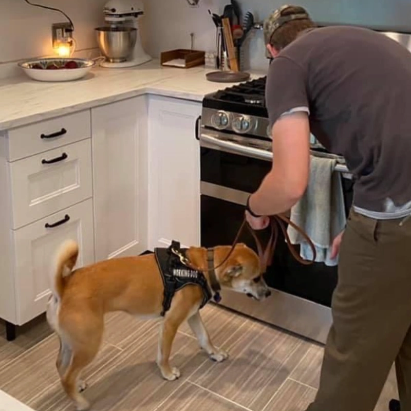 Mold Test In Lansing