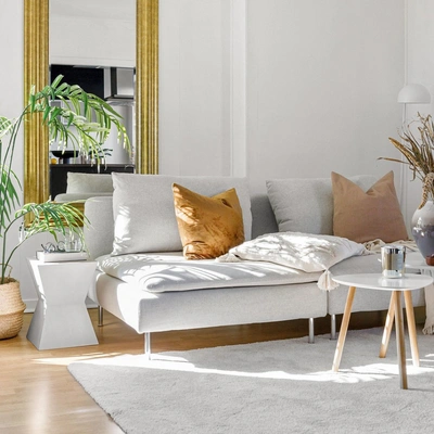 Mold Testing Detroit