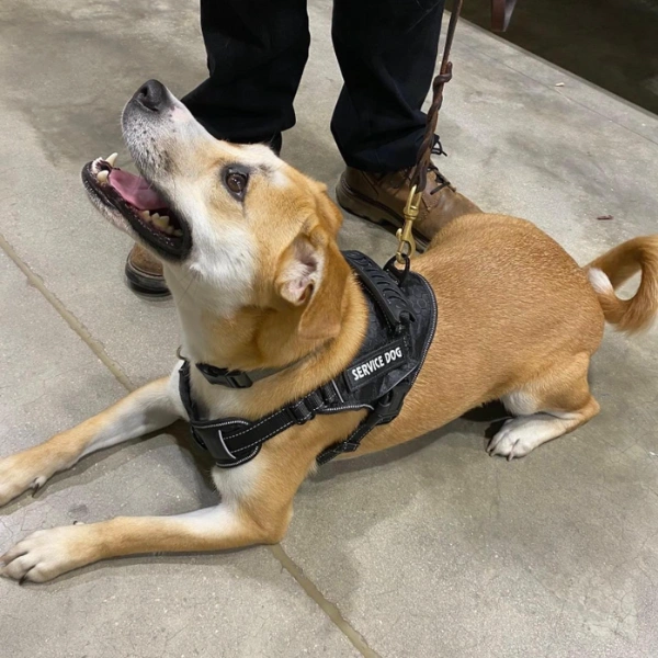 Mold Testing Kalamazoo