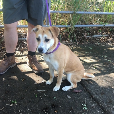 Professional Mold Testing Battle Creek