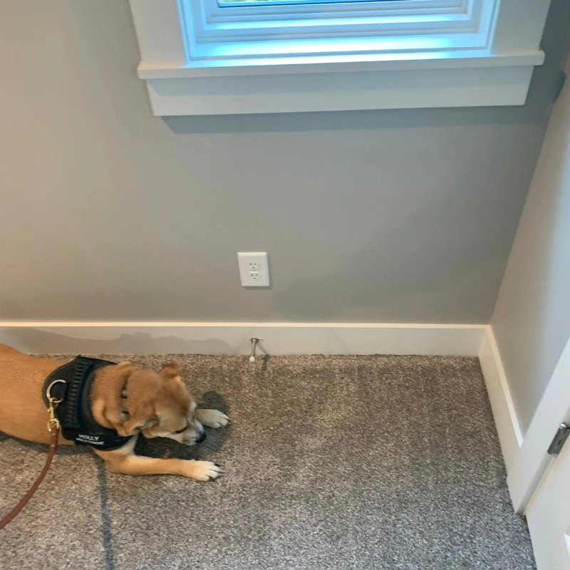 Southfield Mold Testing Services