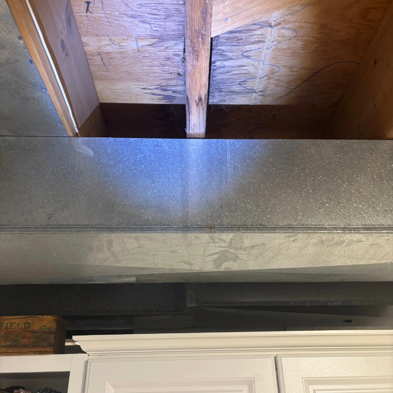 Sterling Heights Mold Inspection