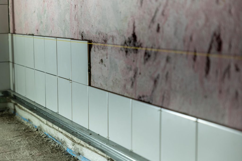 walls with mold