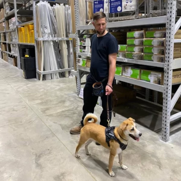 Detroit Mi Mold Inspection