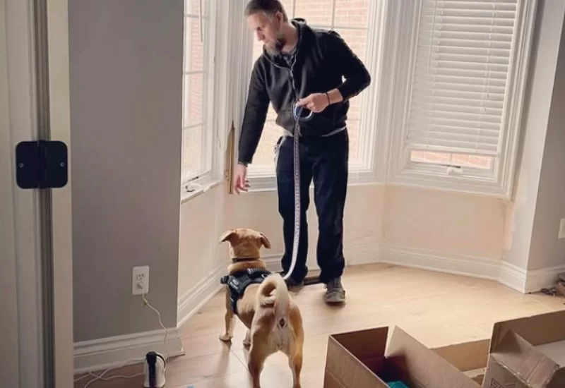 Mold Inspection Lansing