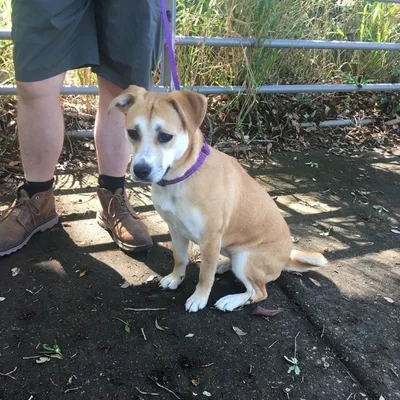 Mold Testing Lansing Mi